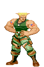 05/05/2010 Guile